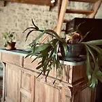 Nocleg ze śniadaniem Le Clos De L'olivier *