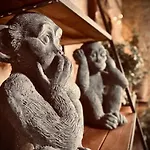 Le Clos De L'olivier Nocleg ze śniadaniem Chaintreaux