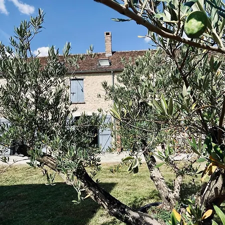Le Clos De L'olivier *